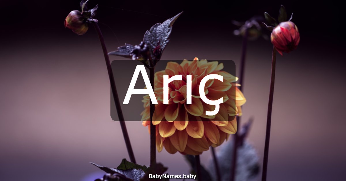 Arıç