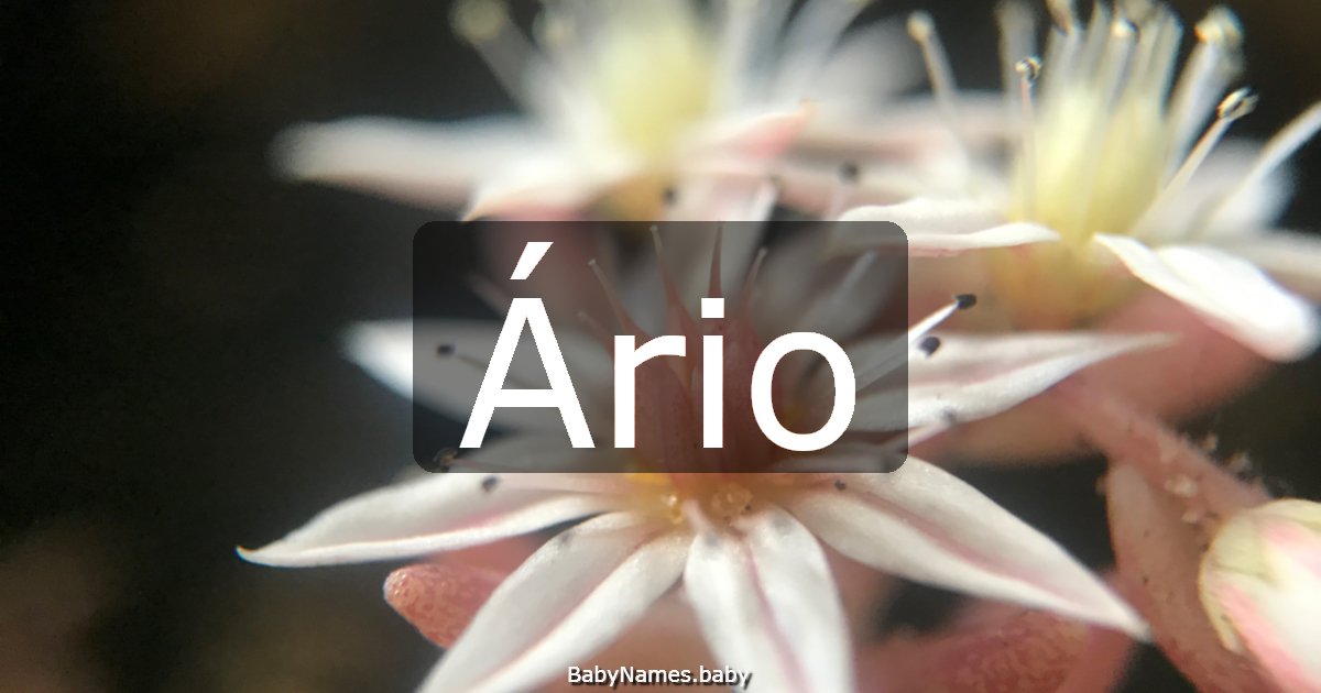 Ário