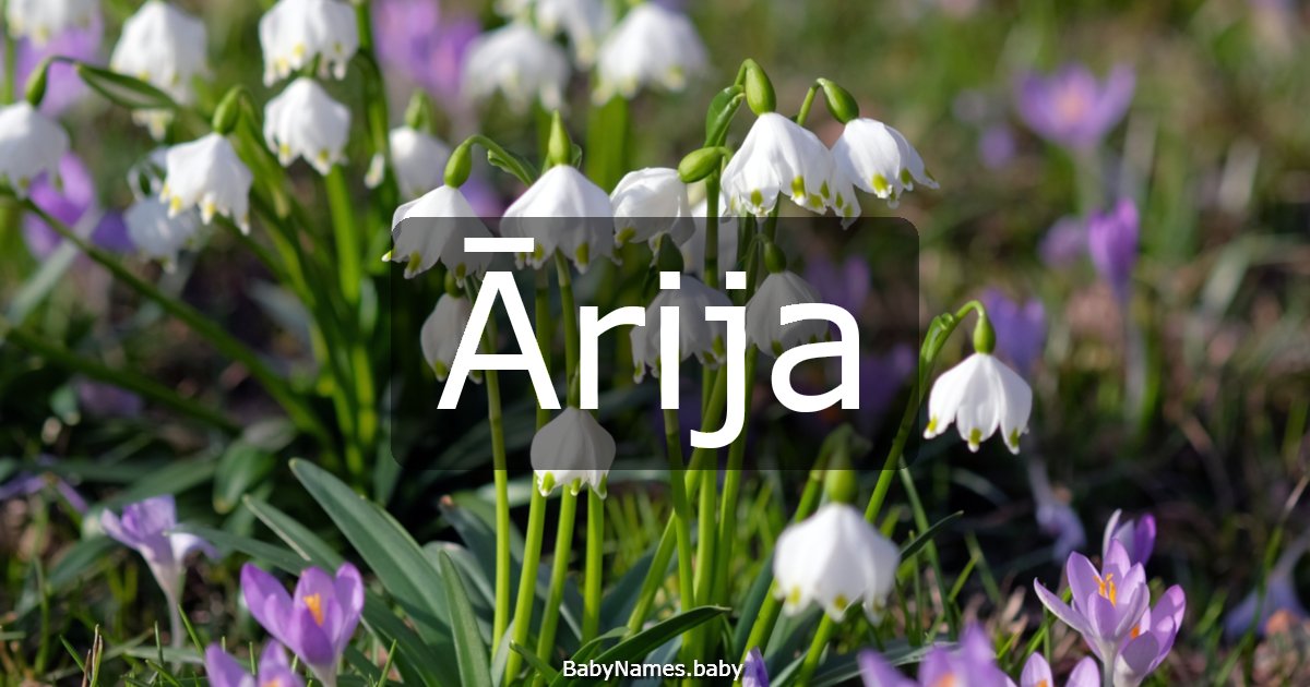Ārija