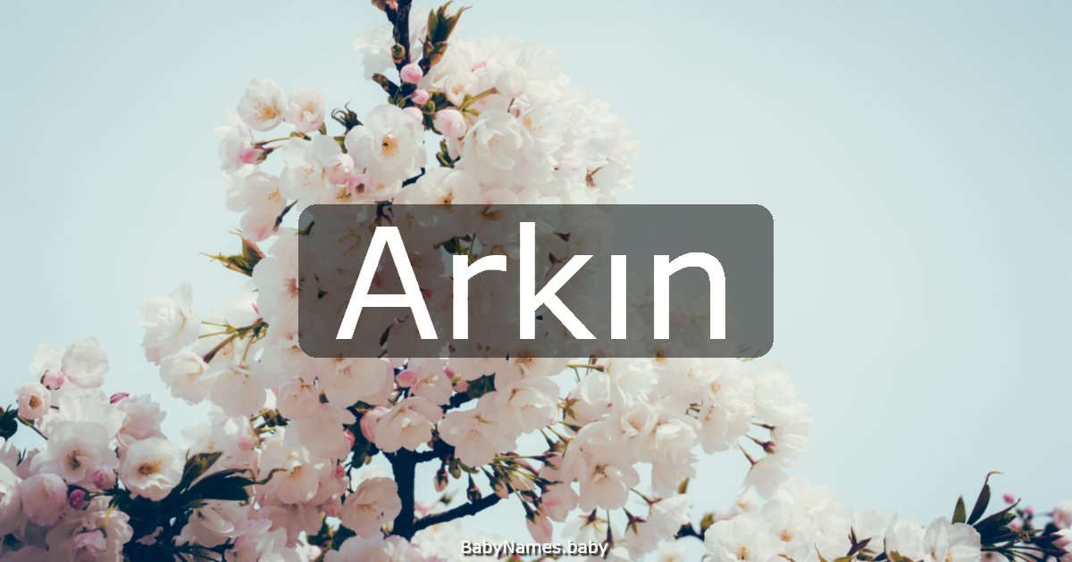 Arkın