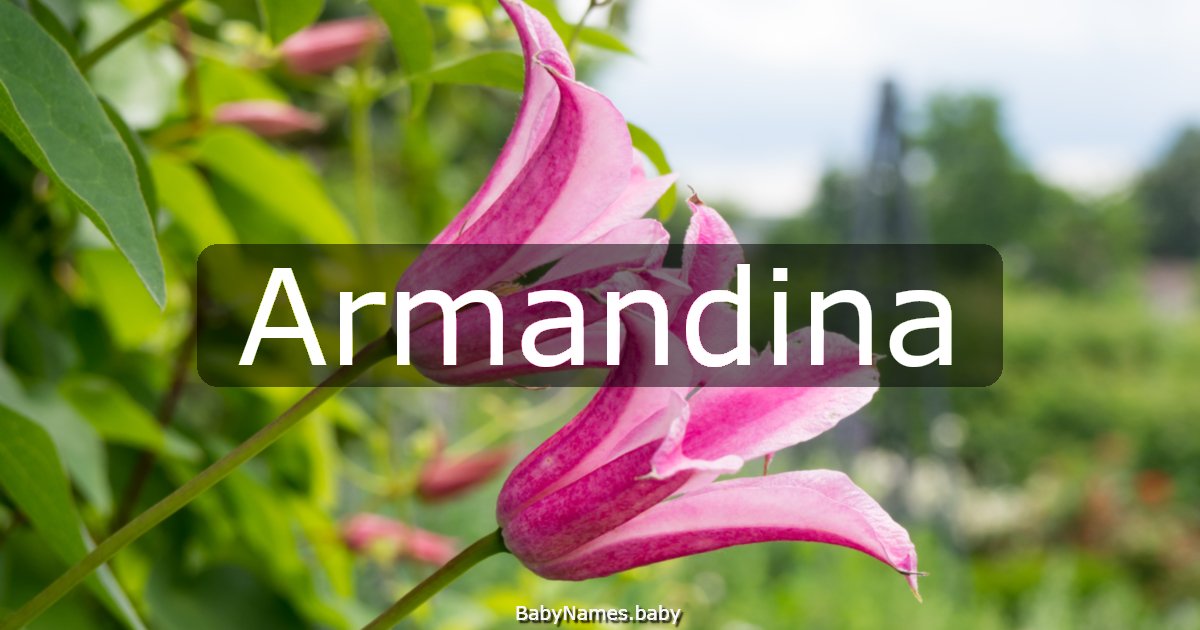 Armandina