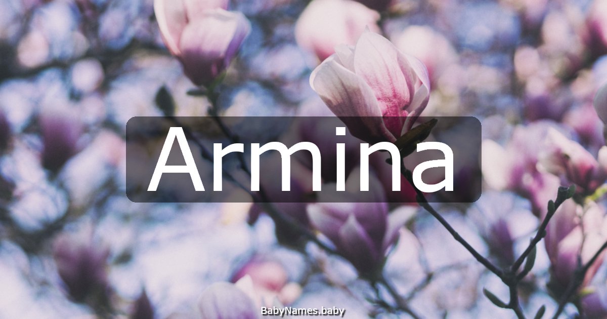 Armina