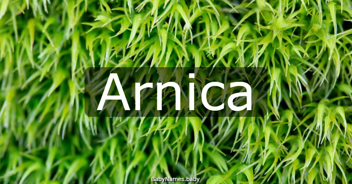 Arnica