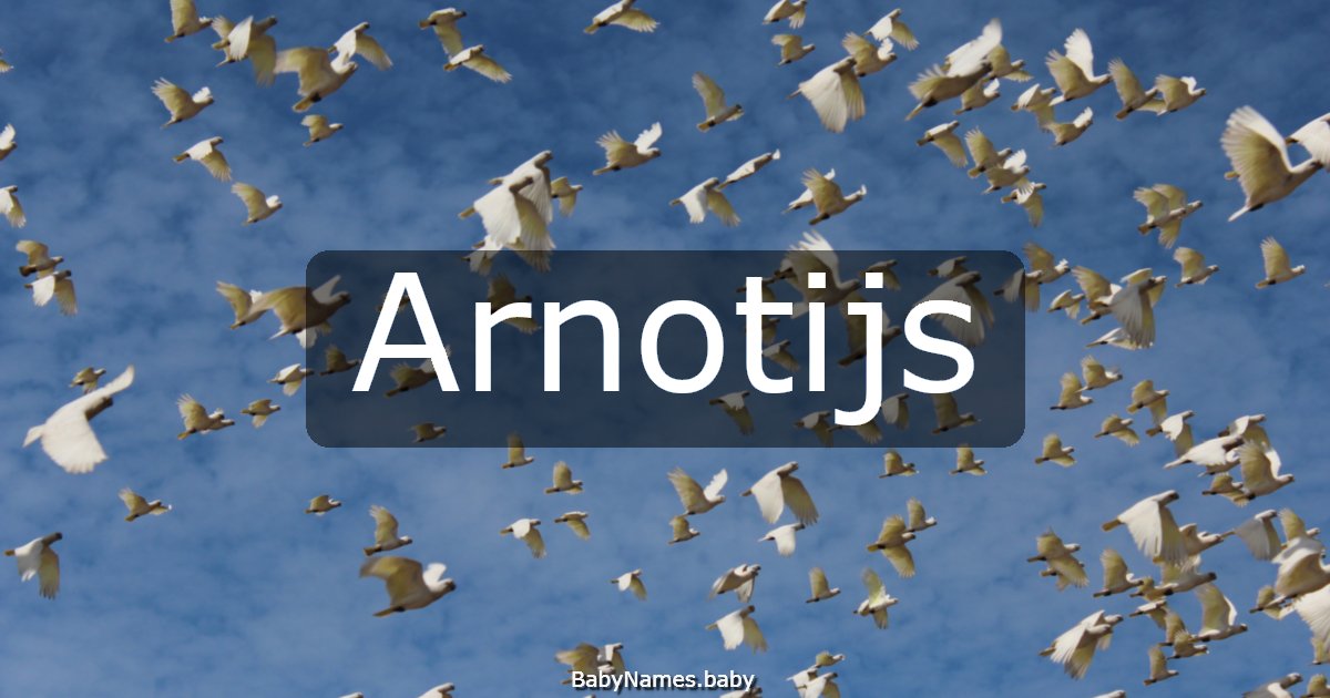 Arnotijs