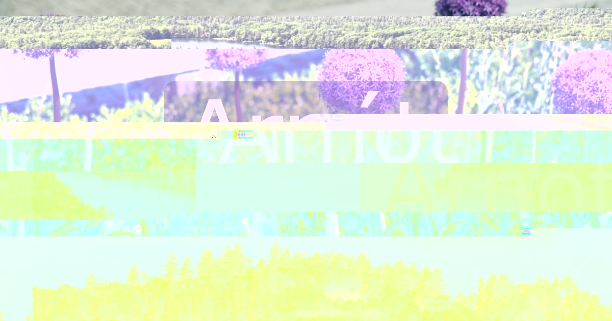 Arnót