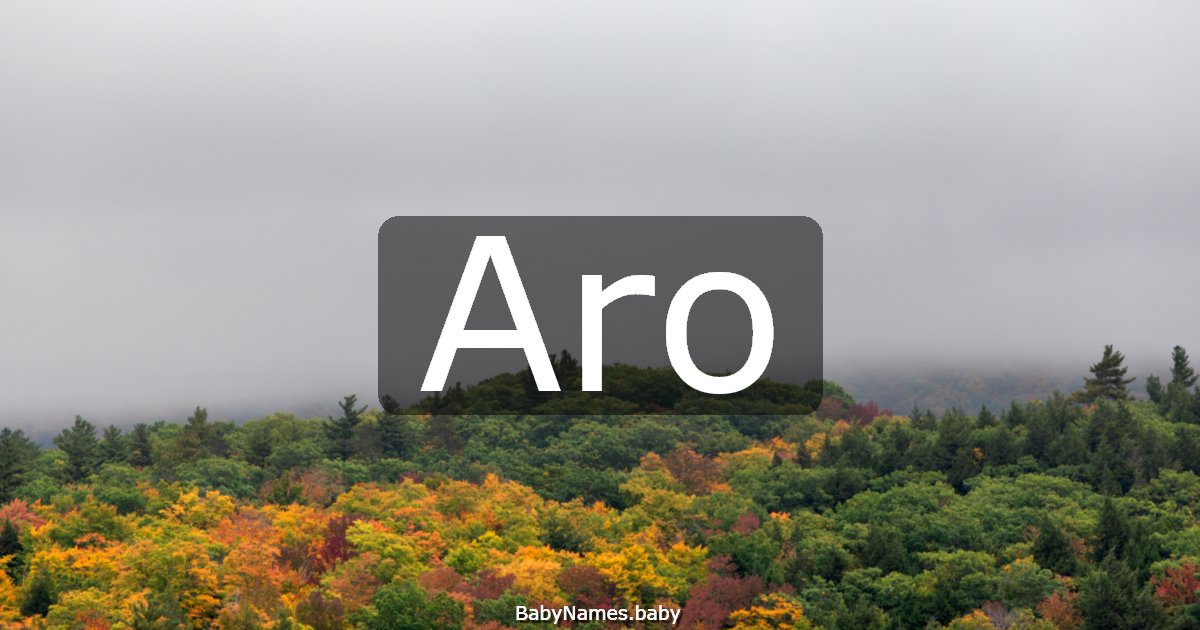 Aro