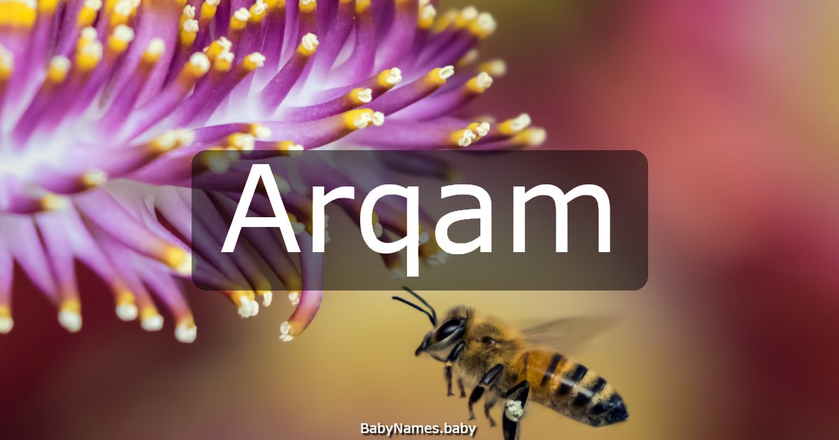 Arqam