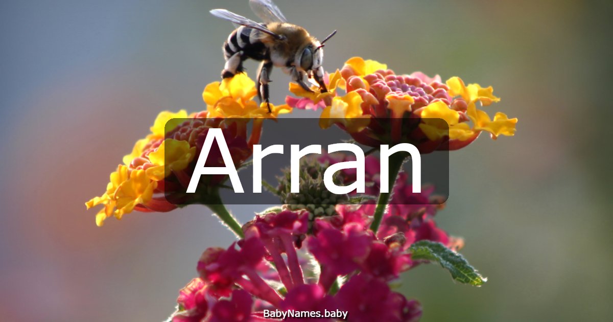 Arran