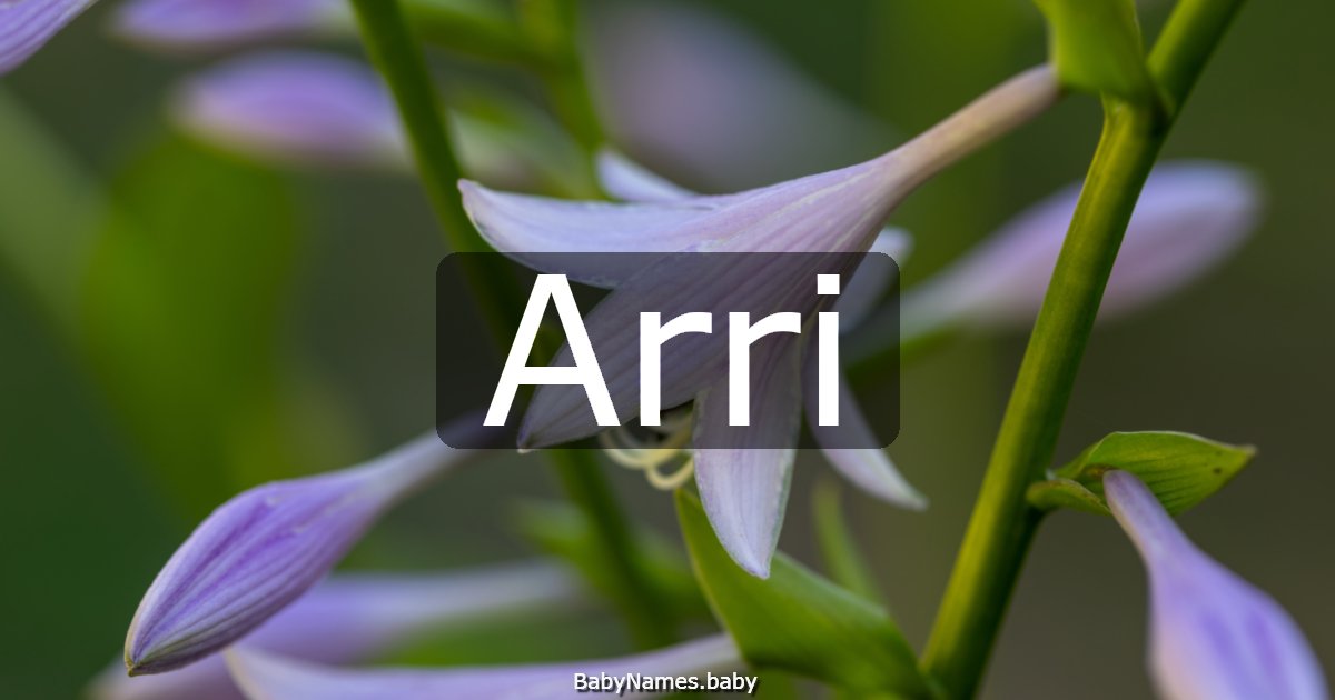 Arri
