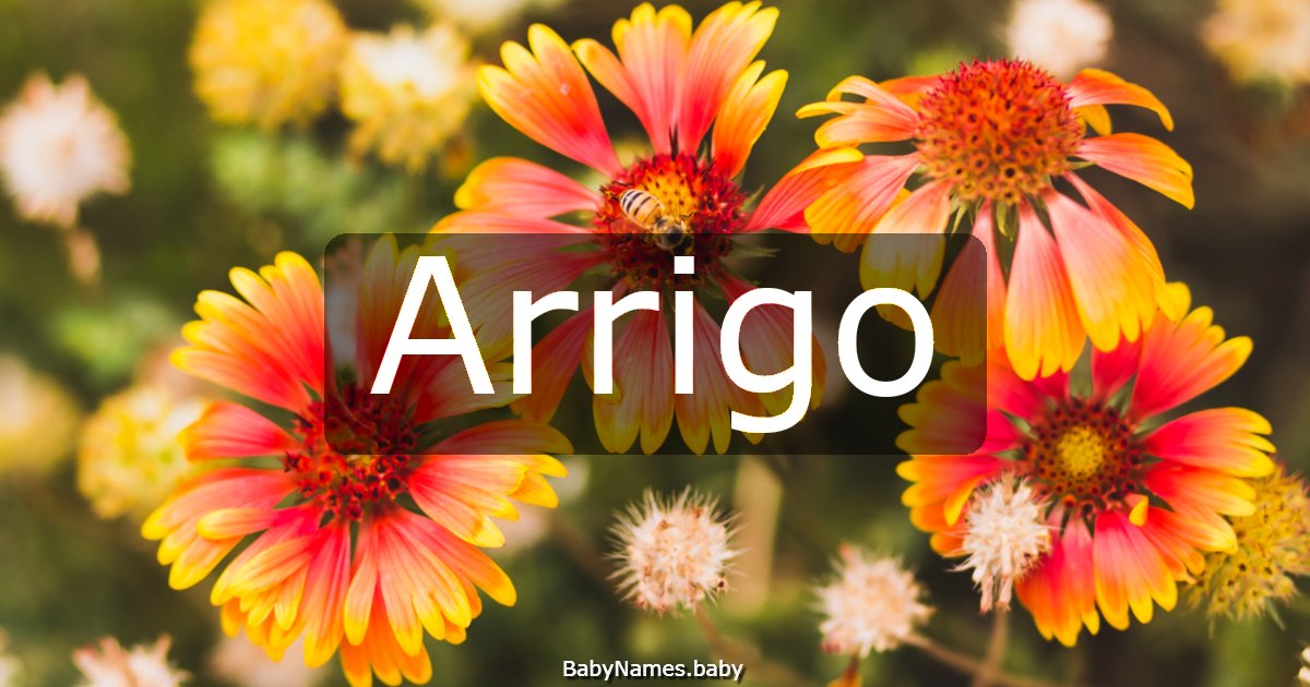 Arrigo
