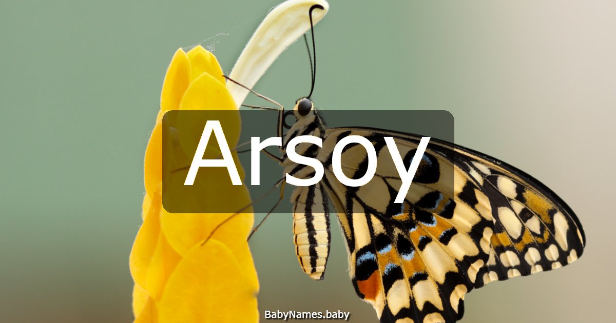 Arsoy