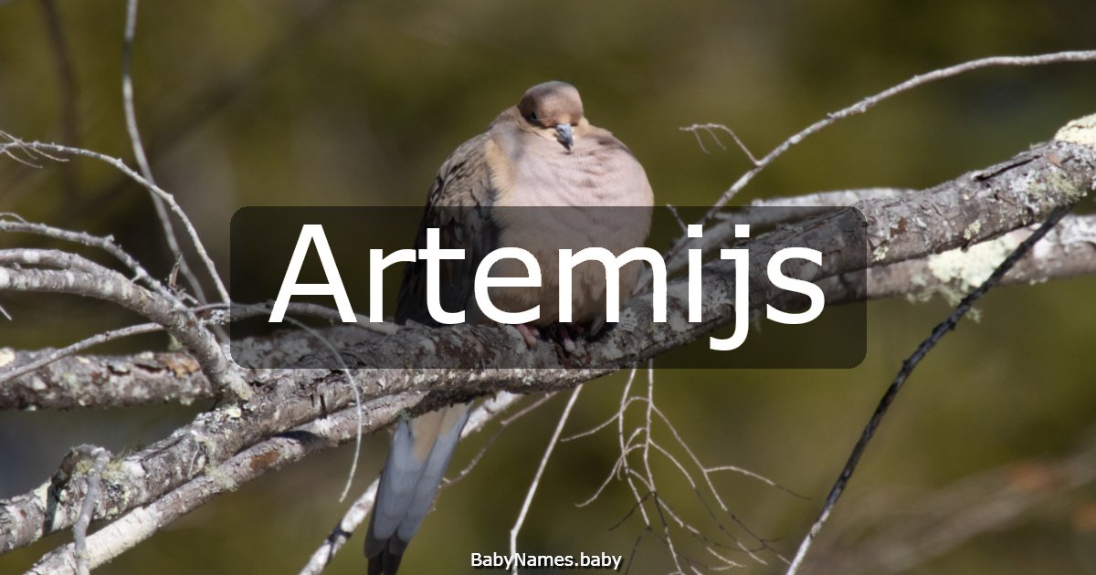 Artemijs