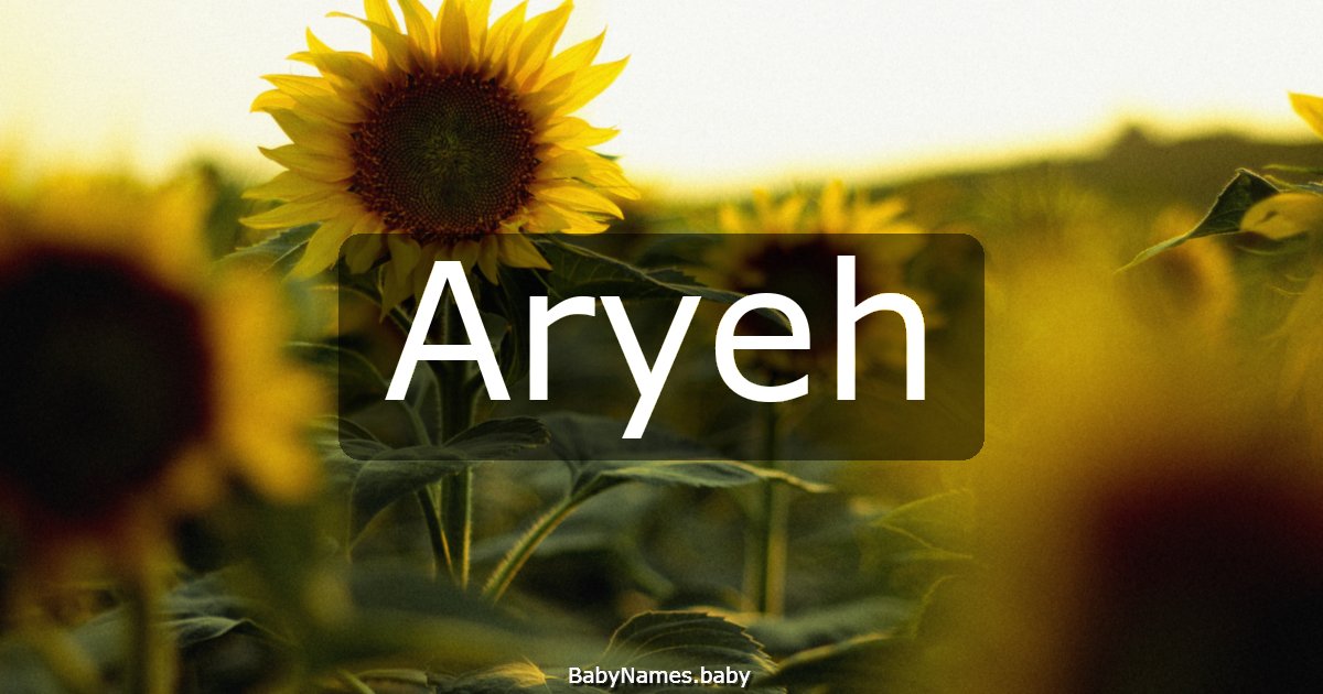 Aryeh