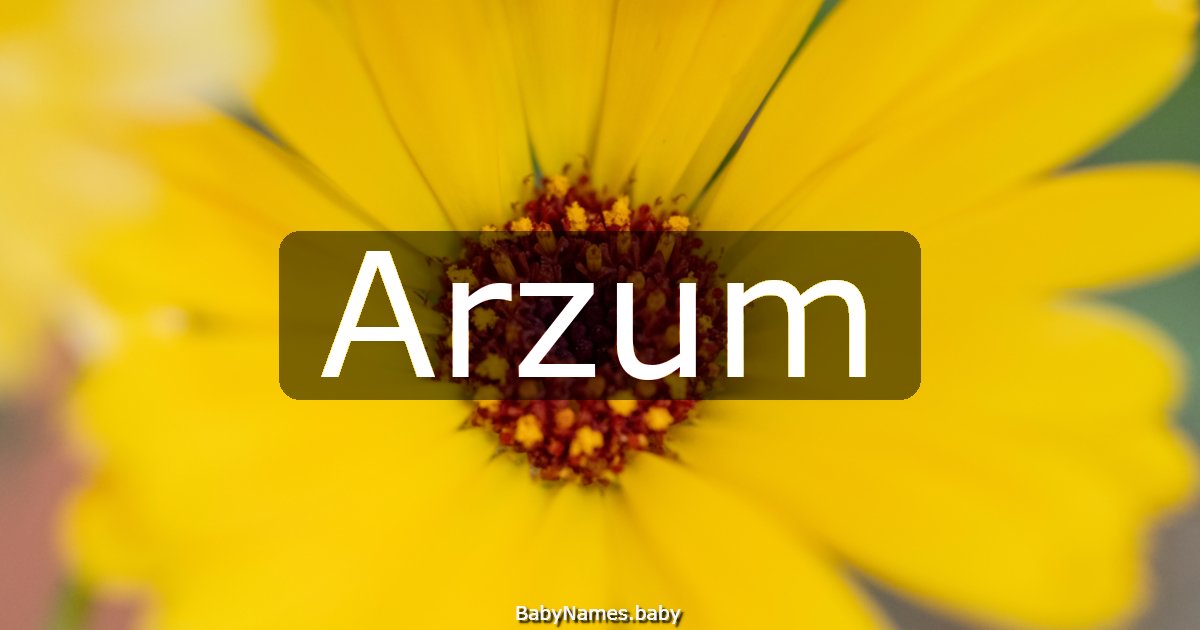 Arzum