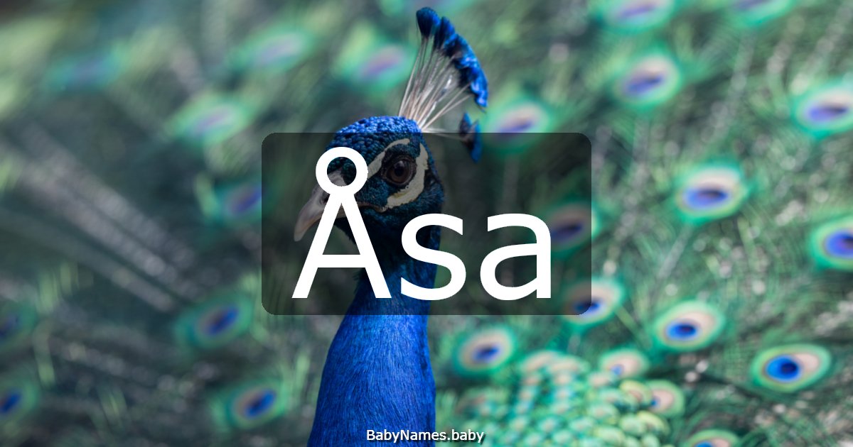 Åsa