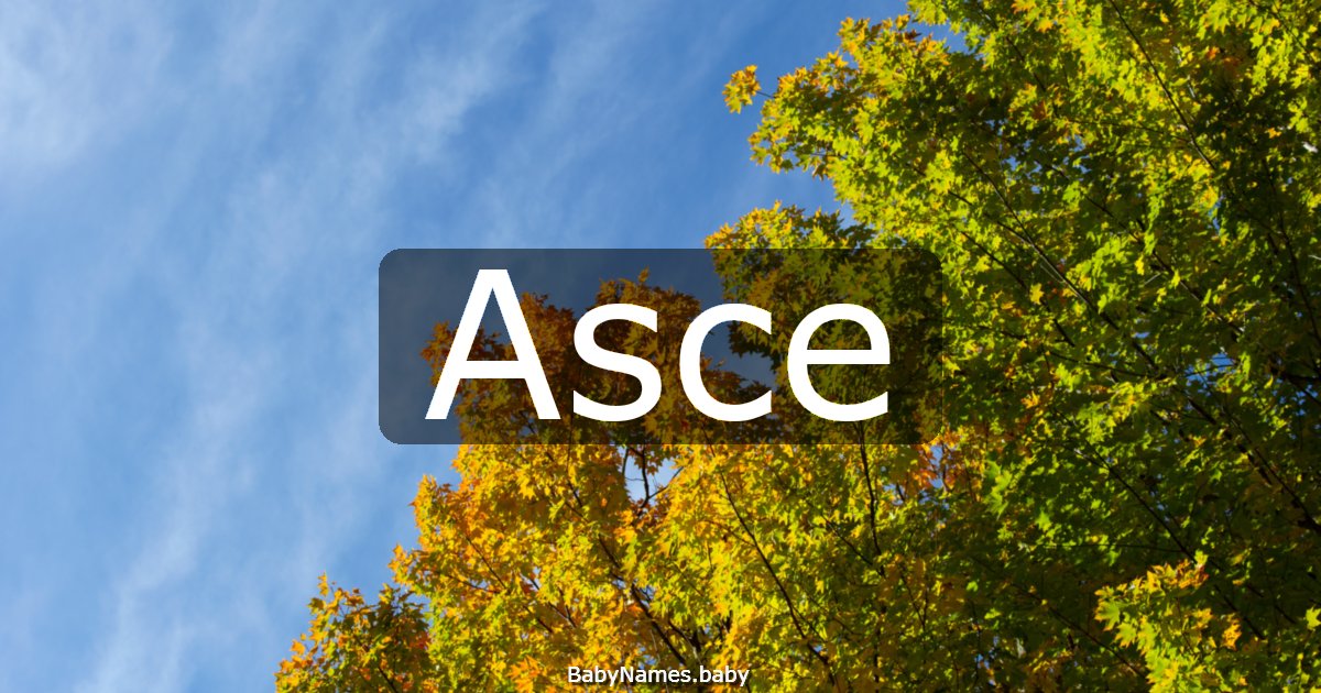 Asce