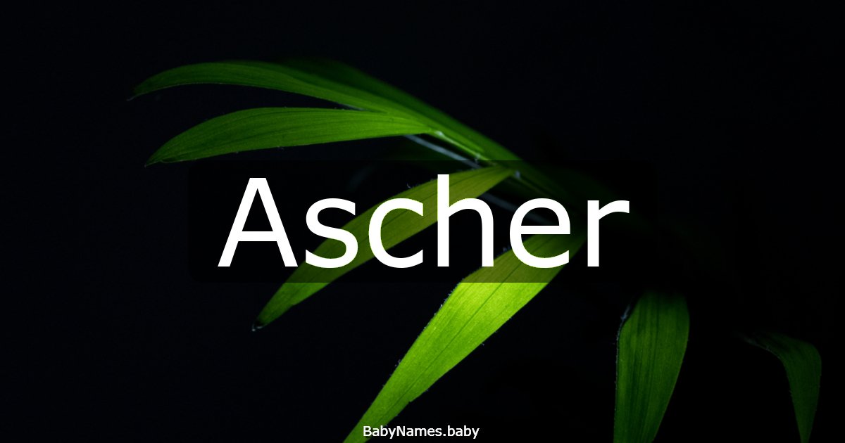 Ascher
