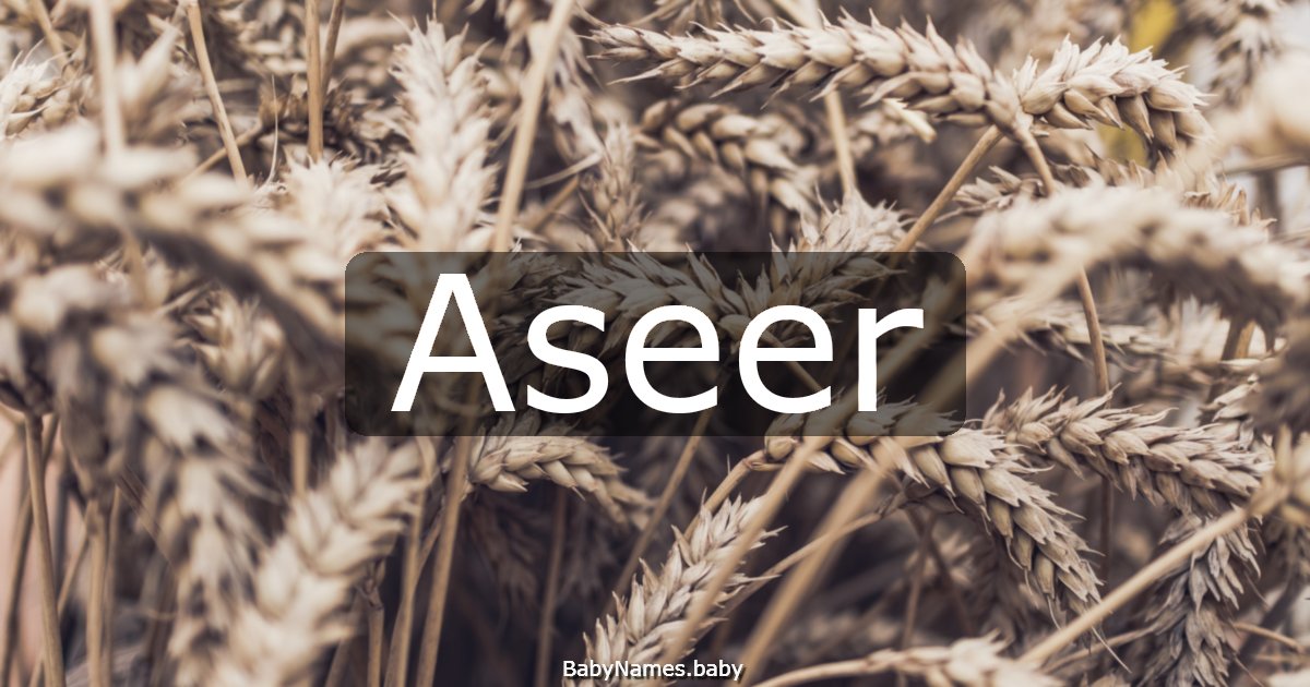 Aseer