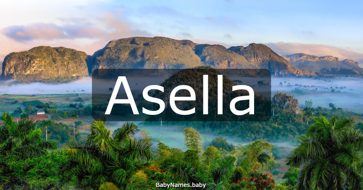 Asella
