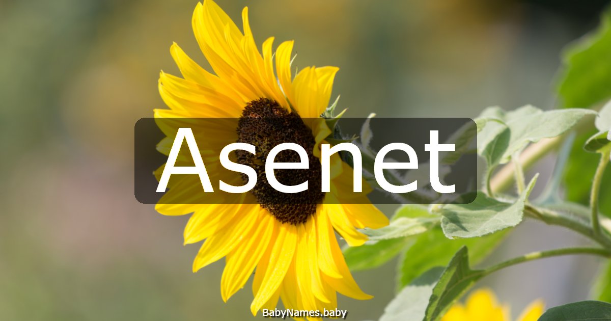 Asenet