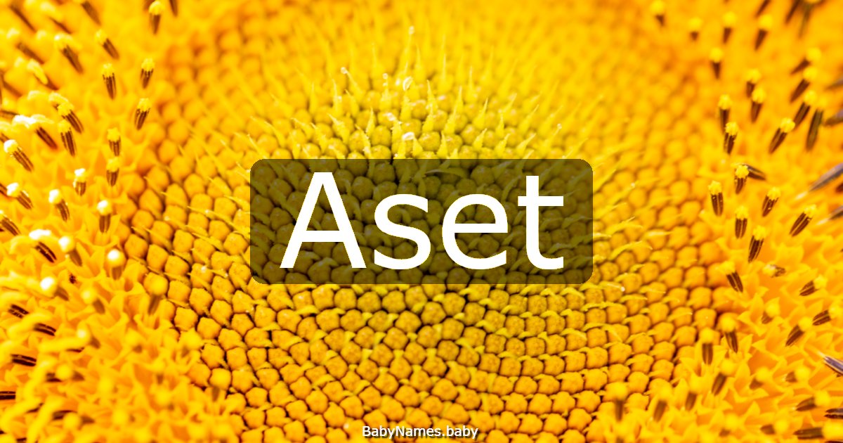 Aset