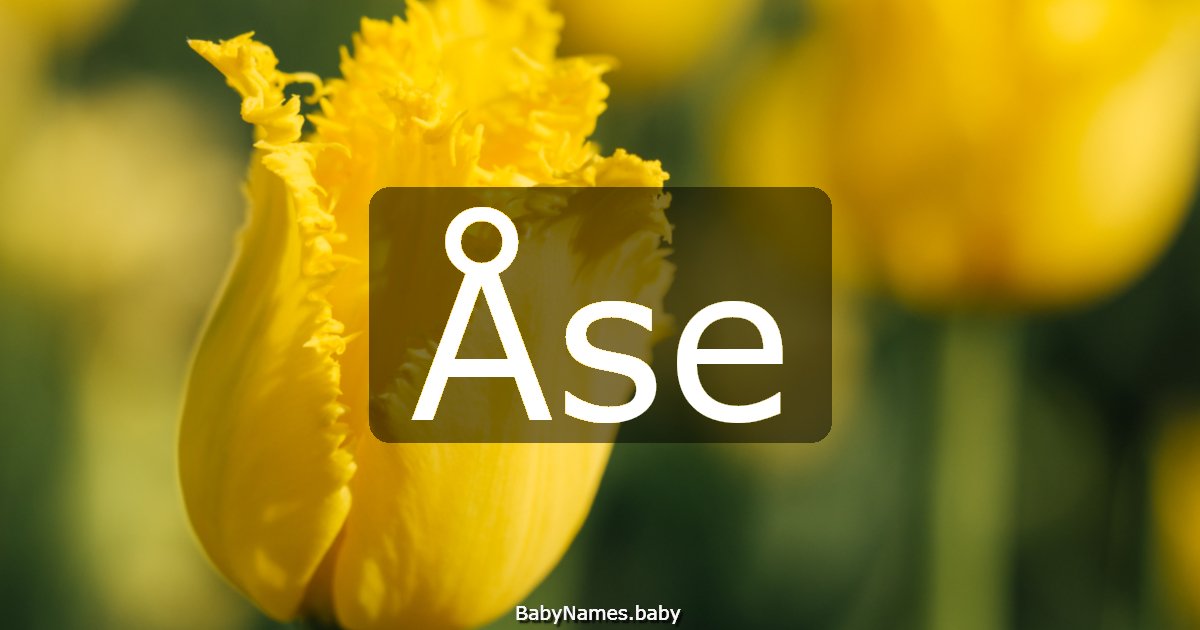 Åse