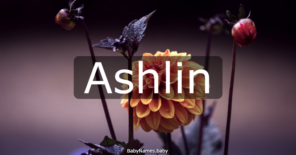 Ashlin