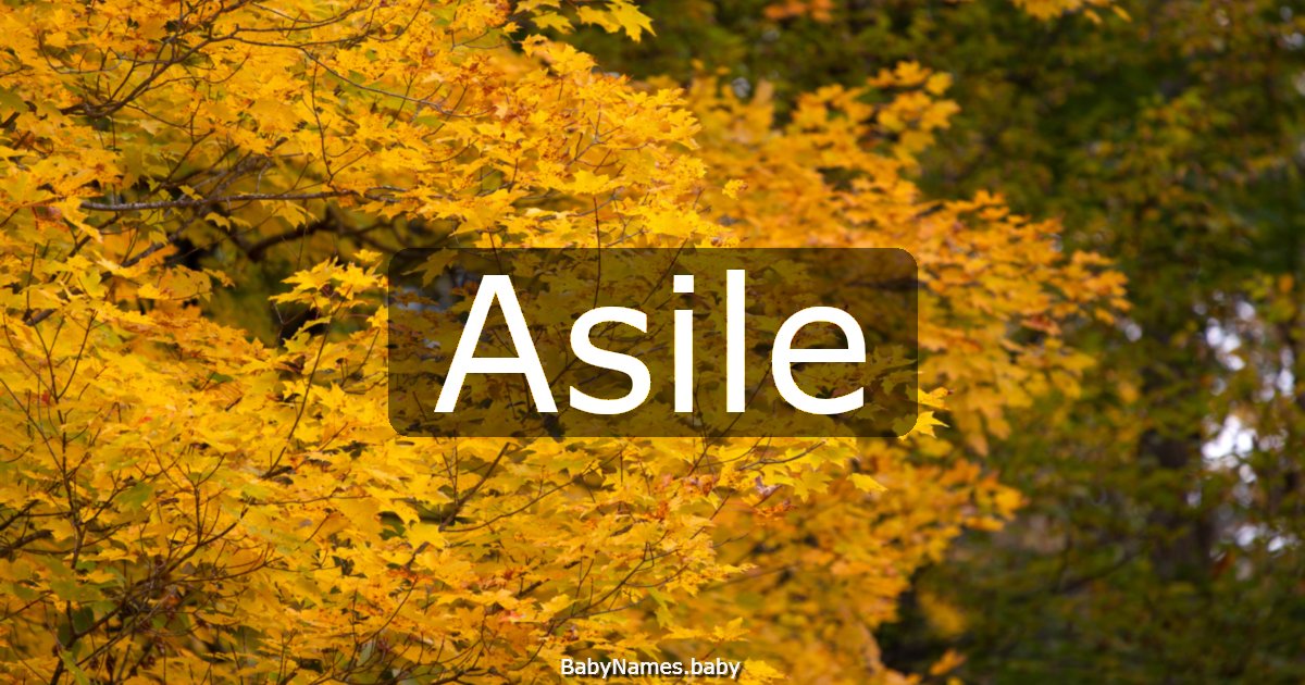 Asile