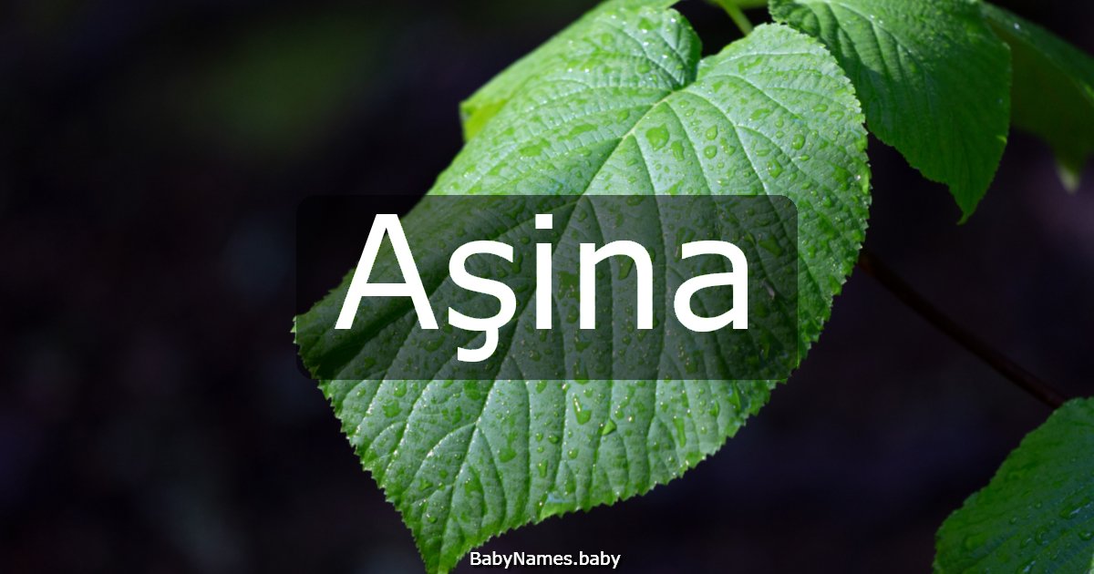 Aşina