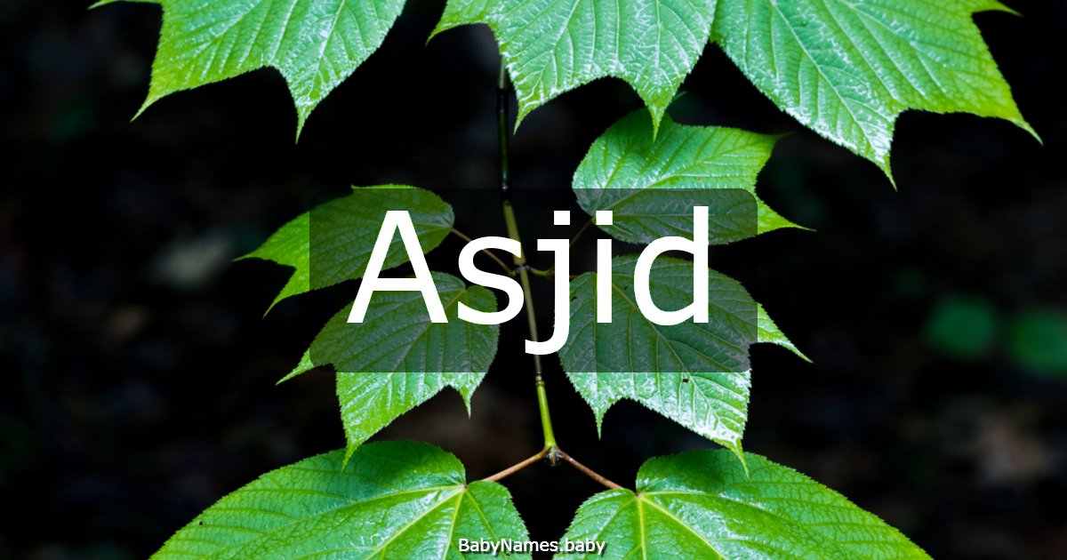 Asjid