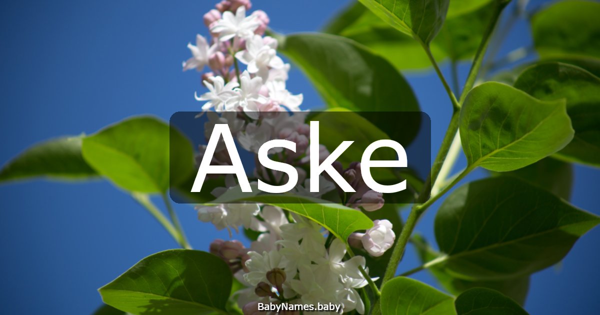 Aske