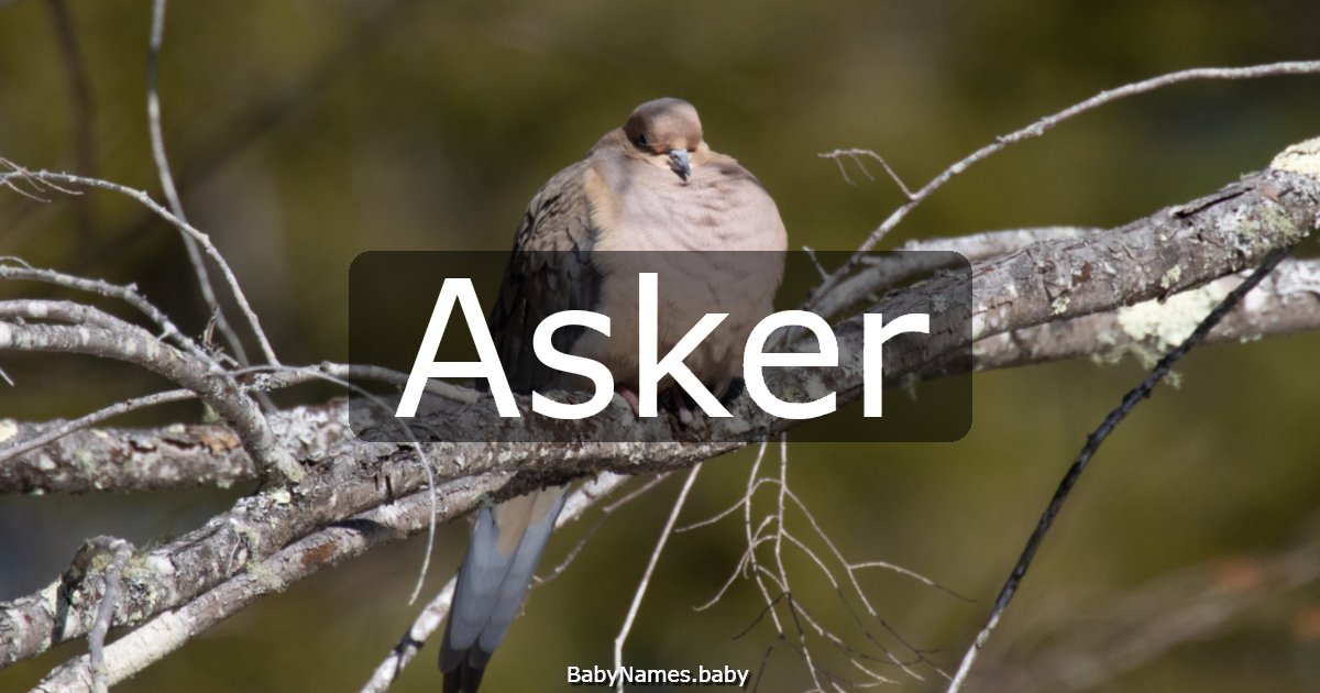 Asker