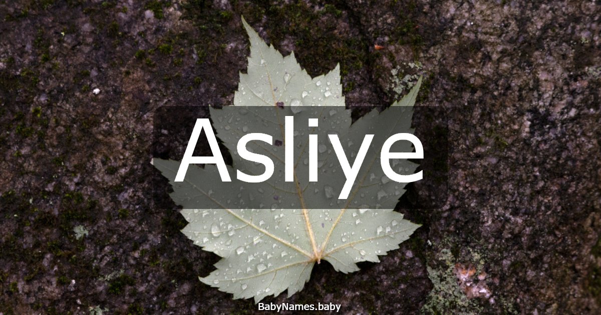 Asliye