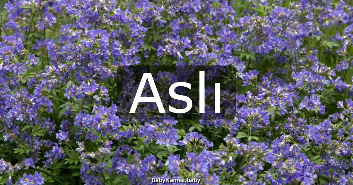 Aslı