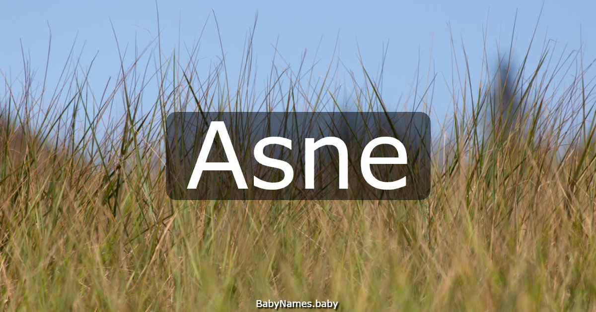 Asne