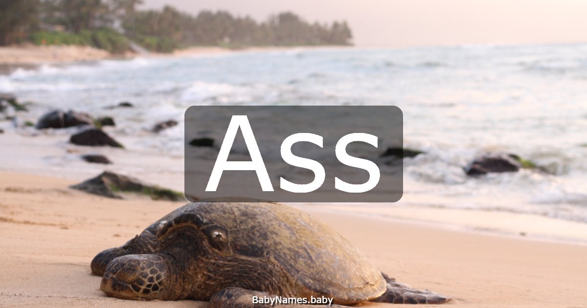 Ass