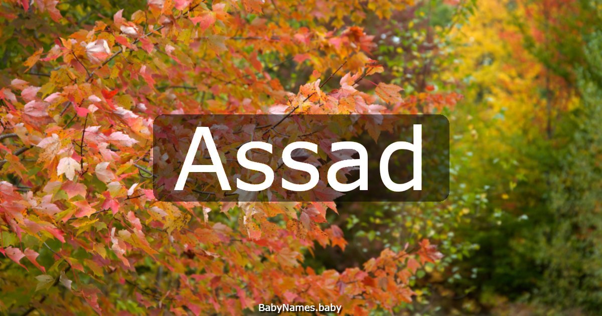 Assad