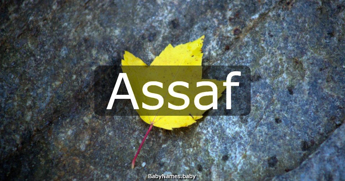 Assaf