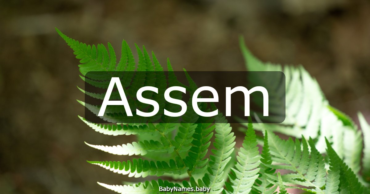 Assem