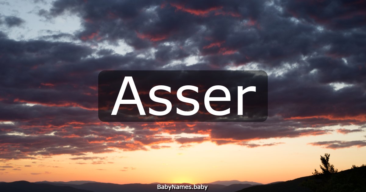 Asser