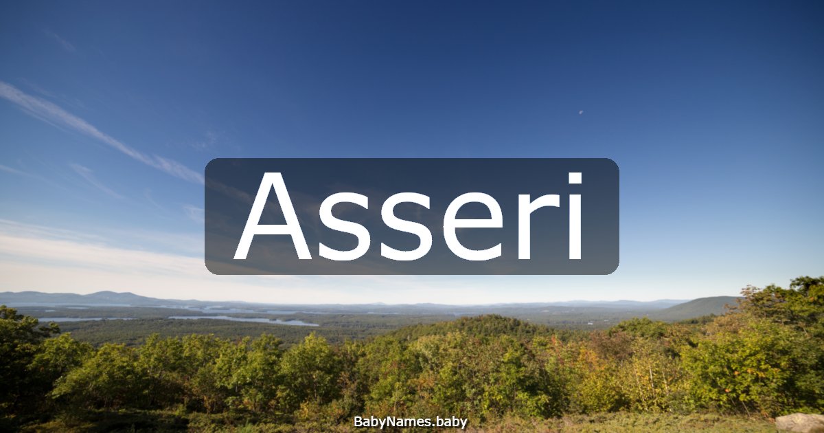 Asseri