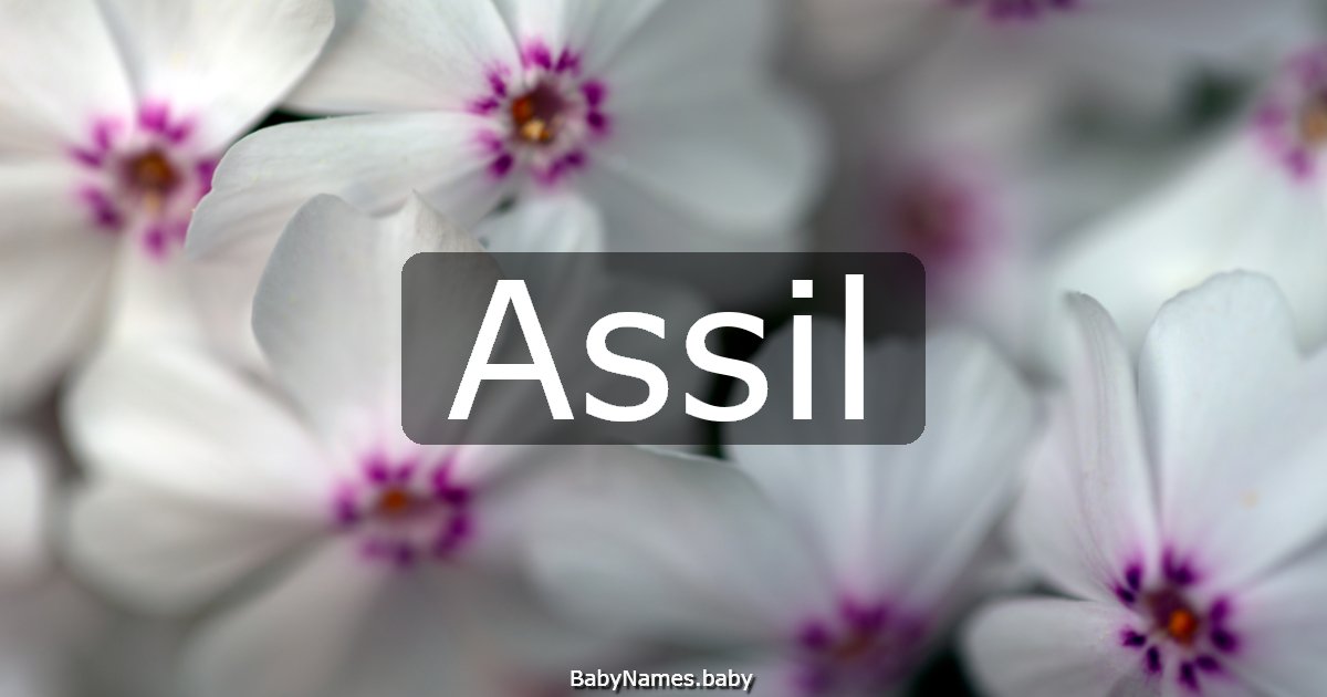 Assil
