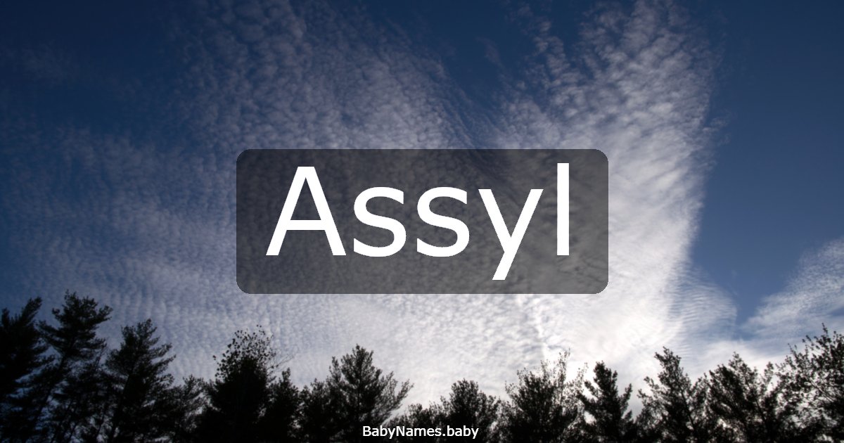 Assyl