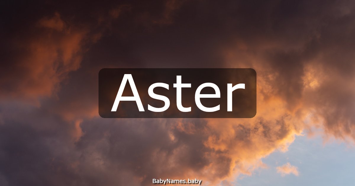 Aster
