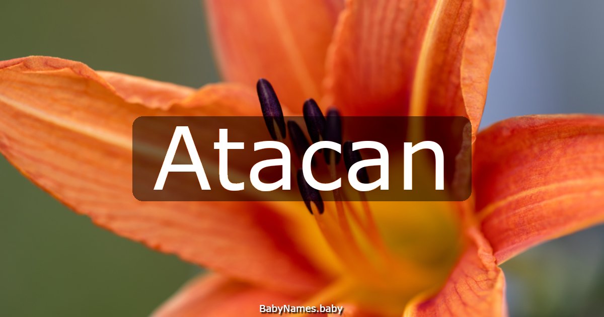 Atacan