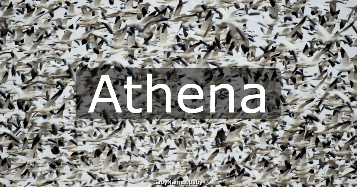 Athena