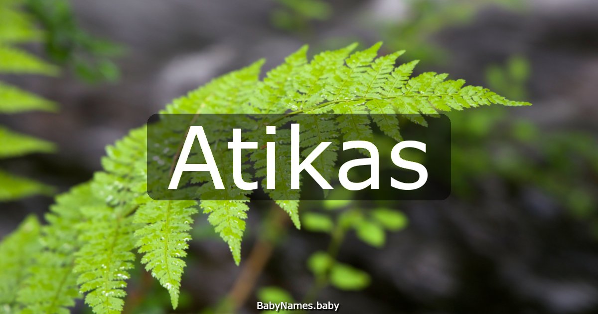 Atikas