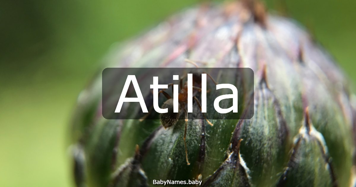 Atilla