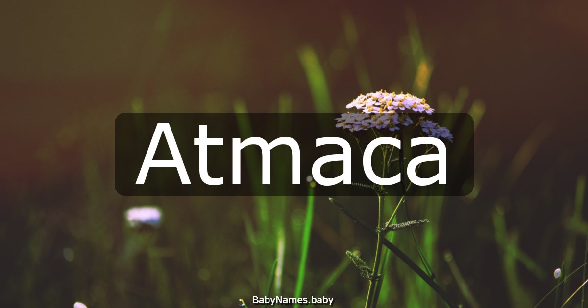 Atmaca