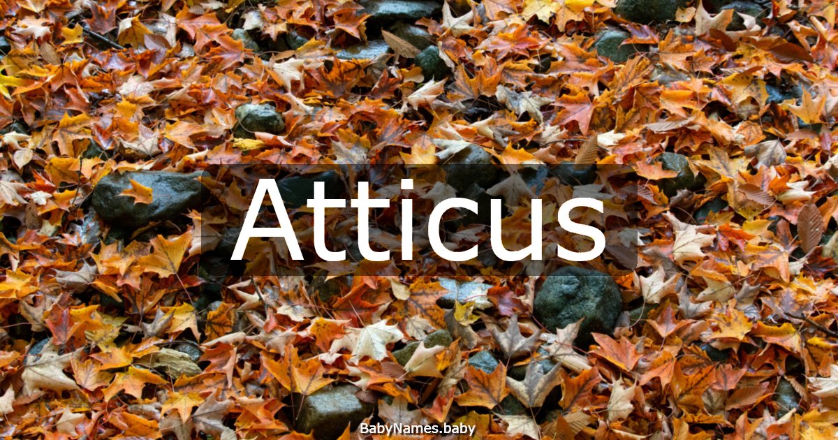 Atticus